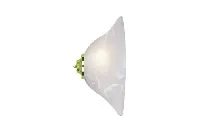 Inverted Bowl Ceiling Light