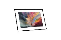 Dynamic color burst artwork with energetic, radiating streaks of blue, orange, and magenta