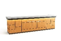 Sleek architectural paneled counter showcasing recessed accent panels with integrated ambient LED backlighting and concealed wire-management channels