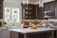 Sleek transitional kitchen cabinet showcasing traditional shaker-style detailing and a clean-lined, high-quality finish that blends heritage with modern utility