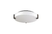 Low Profile Disc Ceiling Light