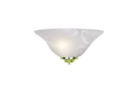 Inverted Bowl Ceiling Light