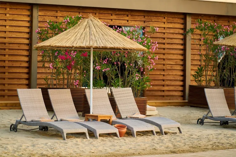 Poolside Lounger