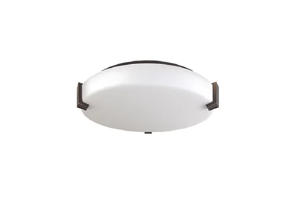 Low Profile Disc Ceiling Light