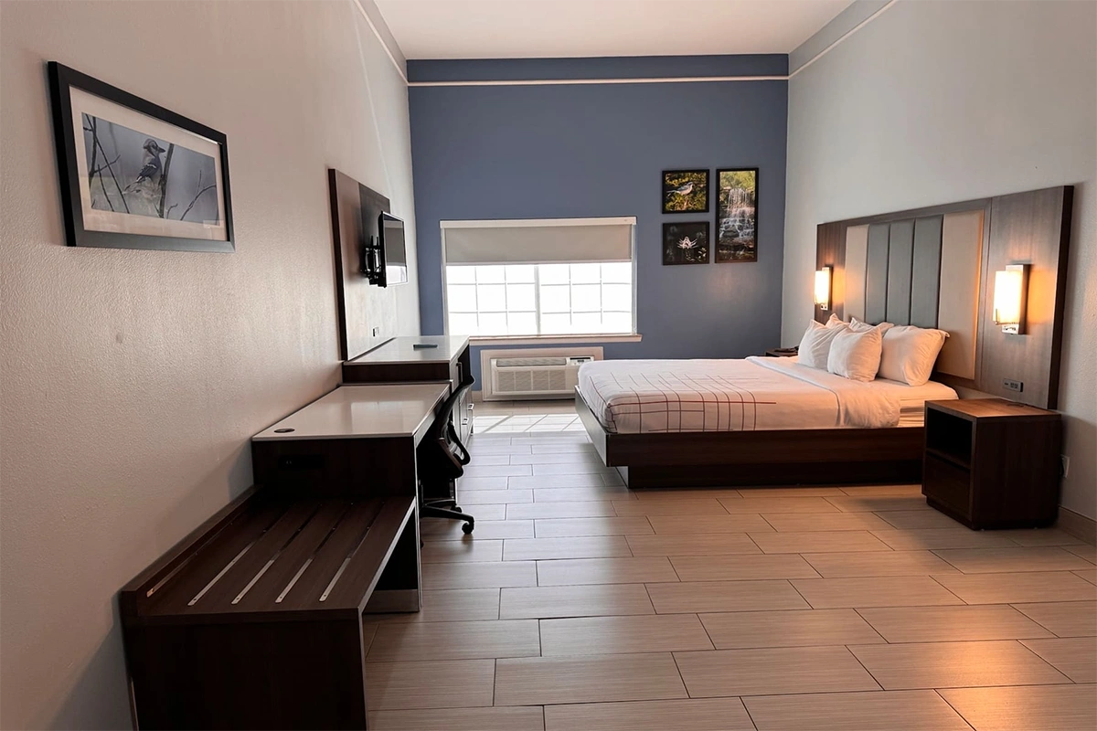 La Quinta Inn & Suites by Wyndham Alamo - McAllen East Furniture